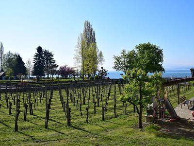 Bild 2 aus  Ferienhof Mecking