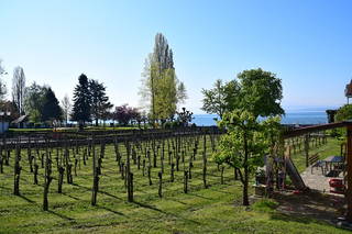 Ferienhof Mecking aus Hagnau (Bodensee)