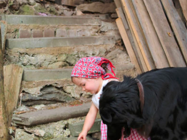 Bild 3 aus  Bauernhof Kieslinger