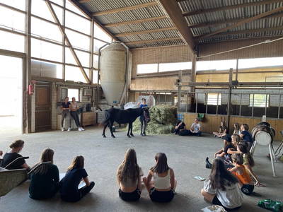 Bild 19 aus  Reitschule Fuchsenhof FN