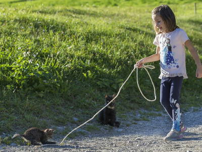 Bild 12 aus  Landhof - Familie Mairhofer