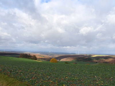 Bild 6 aus  Ferienhaus Nordpfalz