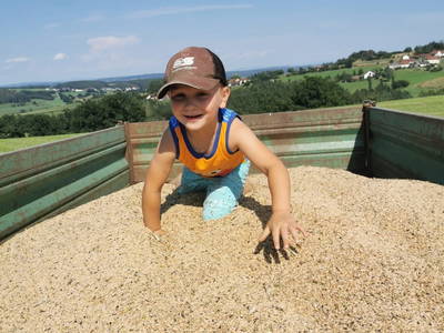 Möchtest du auch bei der Getreideernte helfen?