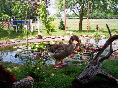 Bild 26 aus  Maison Cheval Blanc