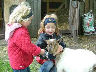 Bild 16 aus  Unsere kleine Farm