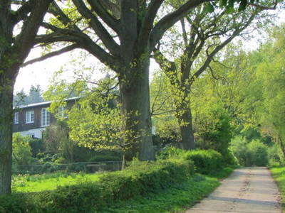 Bild 20 aus  Ferienhof  Moos