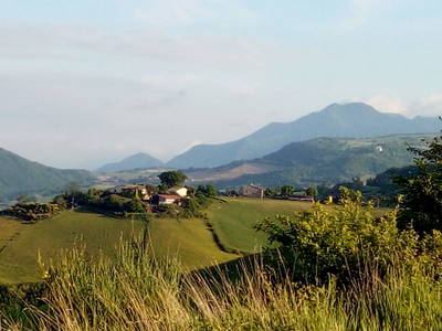 Bild 33 aus  Colle del Lupo