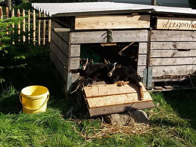 Bild 9 aus  BIO Ferienhof Schütterle