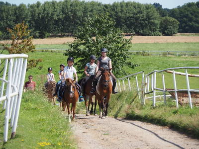 Bild 46 aus  Gestüt Hof am See