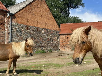 Bild 66 aus  LandSelection Rüsterhof
