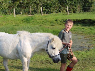 Bild 11 aus  Ferienhof Rickerts