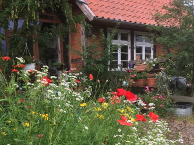 Bild 3 aus  Ferienhof Rauchhaus