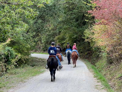 Bild 20 aus  Casa Bivignano