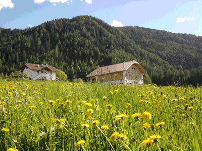 Bild 2 aus  Beikircherhof