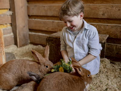 Bild 7 aus  LandSelection Hof Hardthöhe