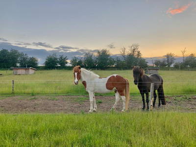 Bild 14 aus  Nordgården- Ferien auf dem Land