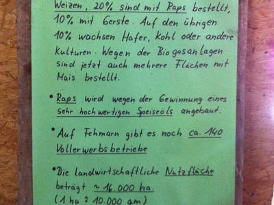 Wir versuchen möglichst viele Infos zur Landwirtschaft auf Fehmarn zu liefern. Mein Mann und ich sind beide auf Höfen aufgewachsen und haben Ausbildung sowie Studium in dem Bereich absolviert. Den ldw. Betrieb (Ackerbau, 50ha) lassen wir bewirtschaften.