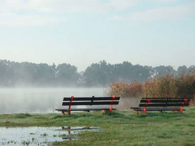 Bild 11 aus  Ferienhof Höffler/im Sternenpark Westhavelland