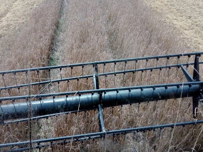Bild 10 aus  Schmidts Ferienhof - Tierisch guter Urlaub im Herzen Deutschlands