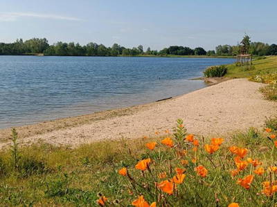 Bild 24 aus  Coproyshof am See