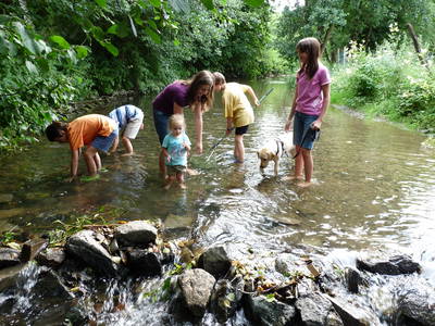 Bild 24 aus  Ponyhof Meier