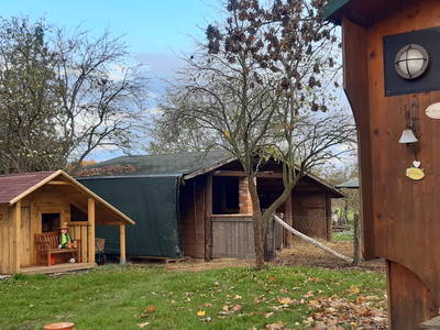 Bild 50 aus  Erlenhof im Oderbruch - Rund ums Schaf