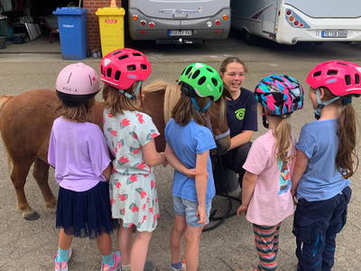 Bild 20 aus  Hof  Wesselmann