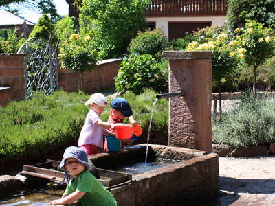 Bild 27 aus  Schlosshof - der Urlaubsbauernhof