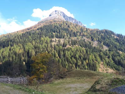 Bild 47 aus  Schwarzenbichlalm