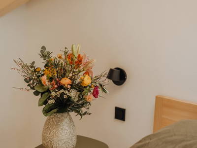 Bild 68 aus  Hofstatt Salzburg Ferienwohnung