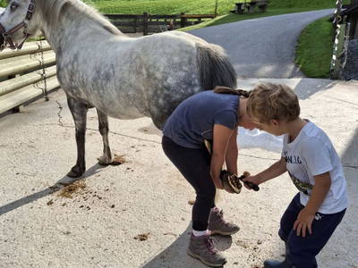 Bild 36 aus  Pferdehof Oberegg