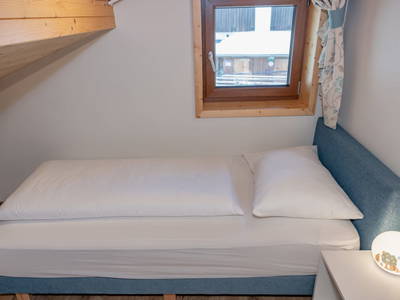 Bild 85 aus  Pleschinhof