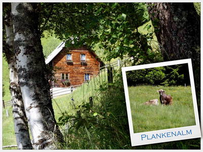 Bild 2 aus  Plankenalm