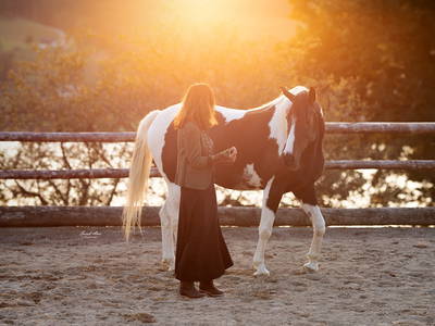 Bild 82 aus  Roiderhof am Irrsee