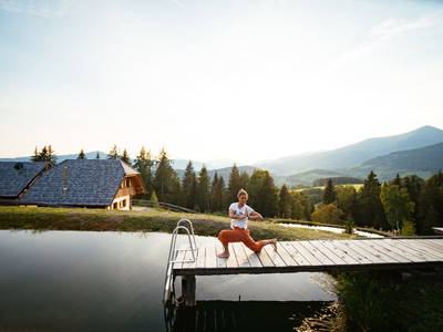 Bild 40 aus  Almchalet Nikola