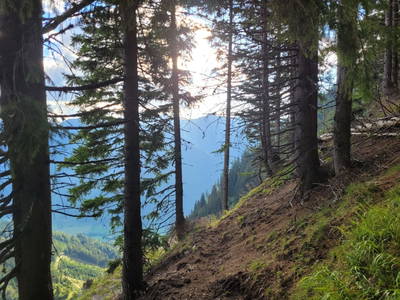 Bild 233 aus  Der Perweinhof