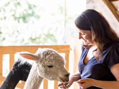 Bild 10 aus  Weingut Dworschak