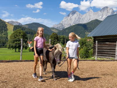 Bild 263 aus  Tritscherhof