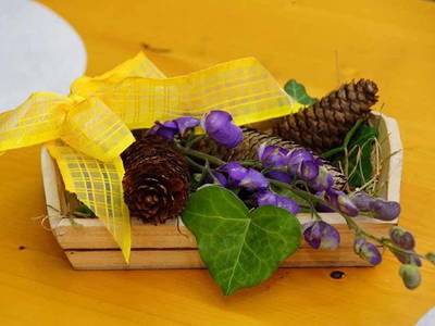 Bild 38 aus  Schwammerlhütte