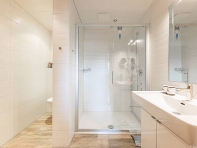 Bild 47 aus  Omesbergerhof