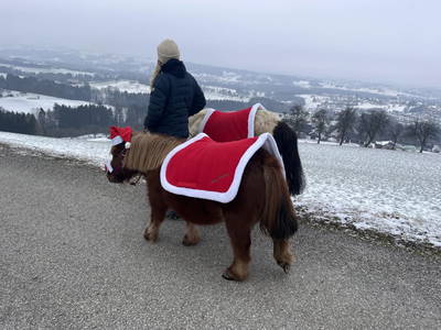 Bild 183 aus  Landhaus  Aigner 