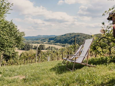 Bild 18 aus  Ferienhaus Schweinzger