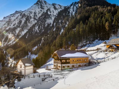 Bild 45 aus  Pöllitzgut