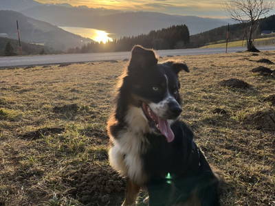 Abendwanderung mit Flash