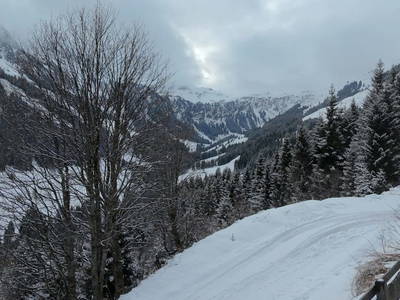 Bild 22 aus  Lengaualm