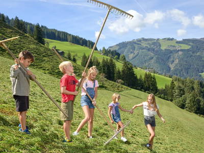 Bild 107 aus Berglodge Grossarl