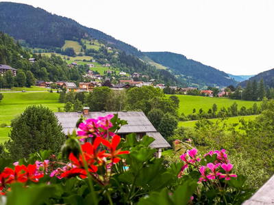 Bild 127 aus  Bio Naturhof Ottingerhof