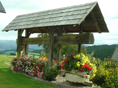 Bild 34 aus  Steirer