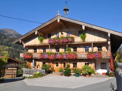 Bild 2 aus  Kasperbauer