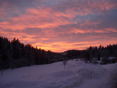 Bild 37 aus  Höllmühle